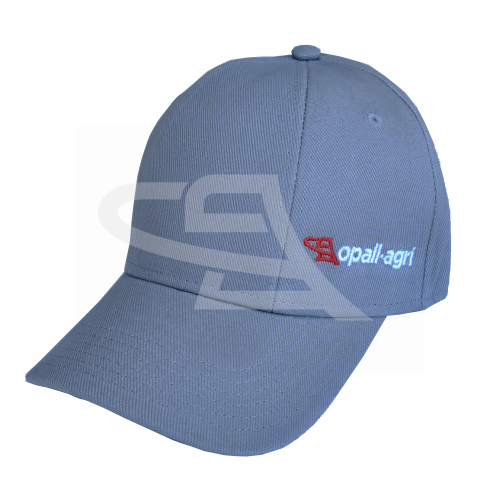 Cap with company logo