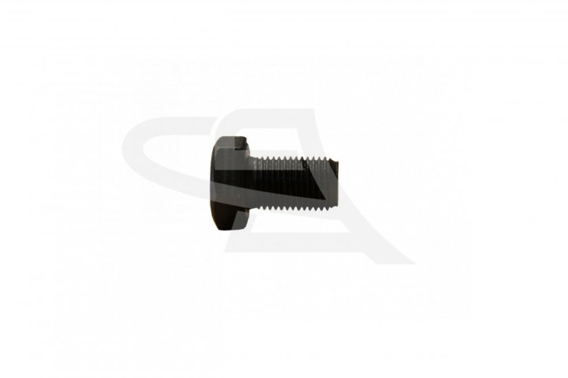 Schraube M 12x1,25-20