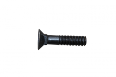Śruba M 12x55 M 12x55