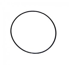 Oring 79 Ø 79